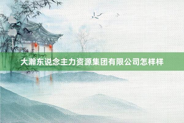 大瀚东说念主力资源集团有限公司怎样样